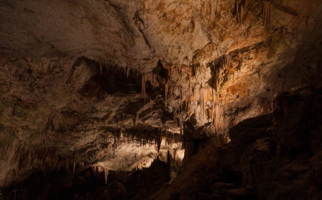 Postojna caves, the gr